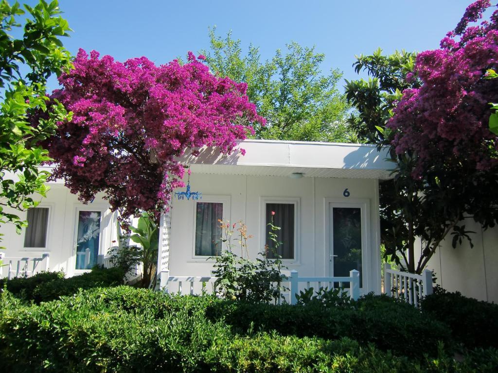 Blue & White Hotel Çıralı Værelse billede