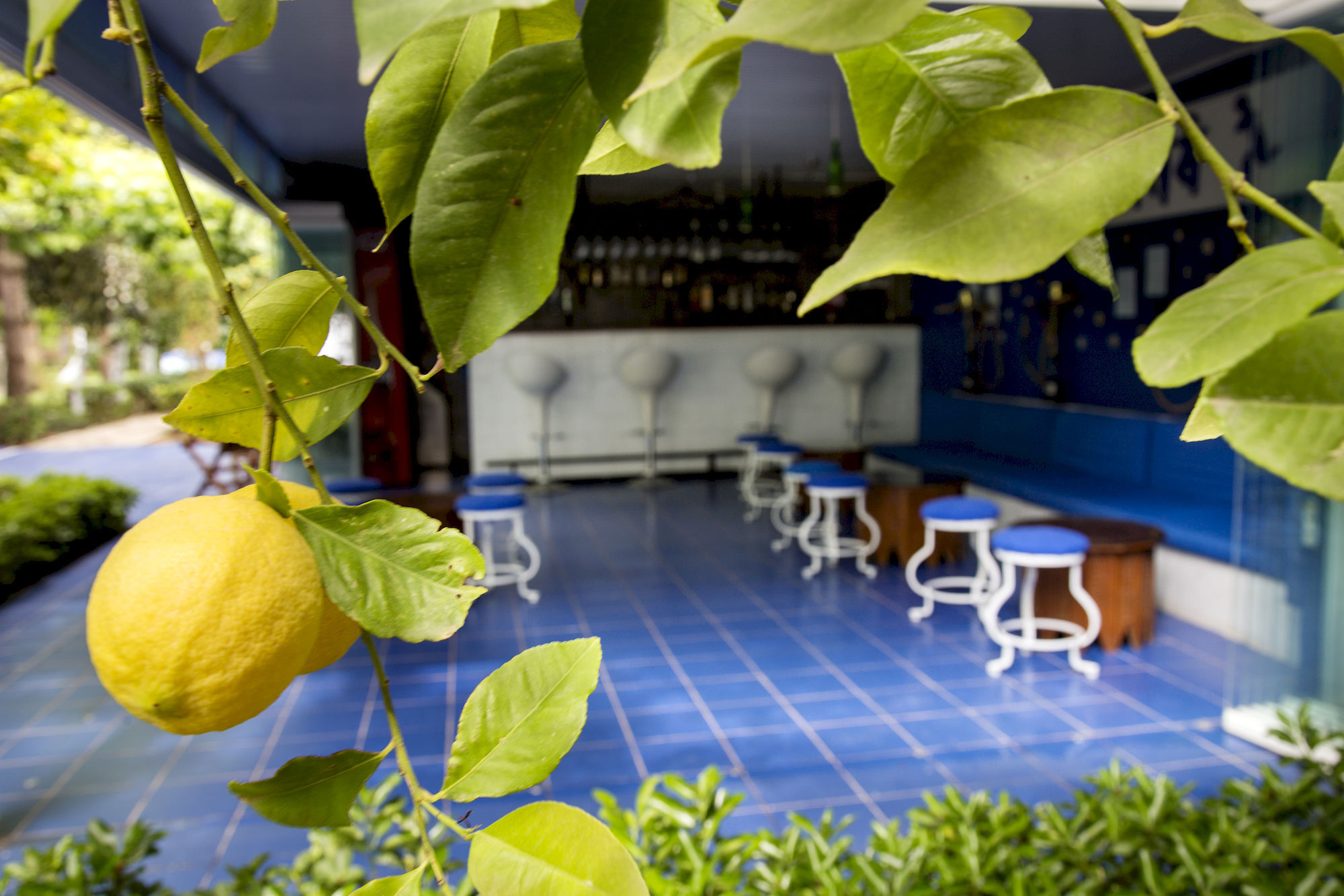 Blue & White Hotel Çıralı Eksteriør billede